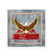 1980 s Eagle H-D Bandana - Grey on Sale