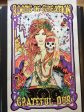 GRATEFUL DUB LADY  POSTER by Catt Gould [STANDARD - limited edition] Discount