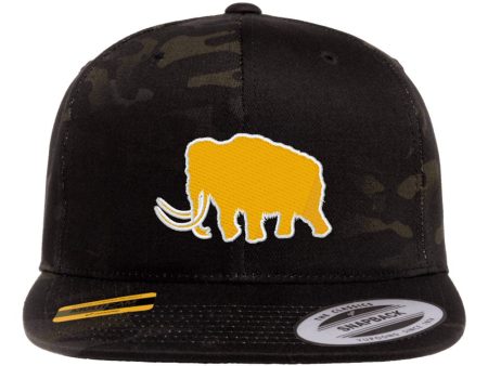 Mammoth SnapBack For Discount